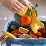 UAE: Annual Food Waste Can Feed 7 Million People